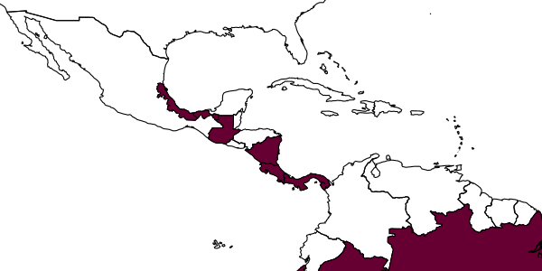 map of Joppa elegantula     Cresson, 1868